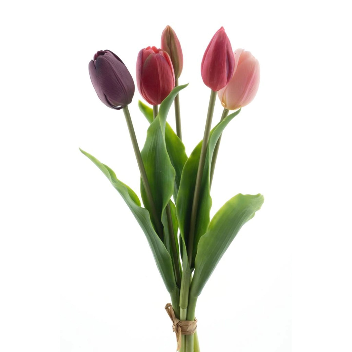 Real Touch Holland Tulip bundle Sally X5 purple/beauty combo 36cm