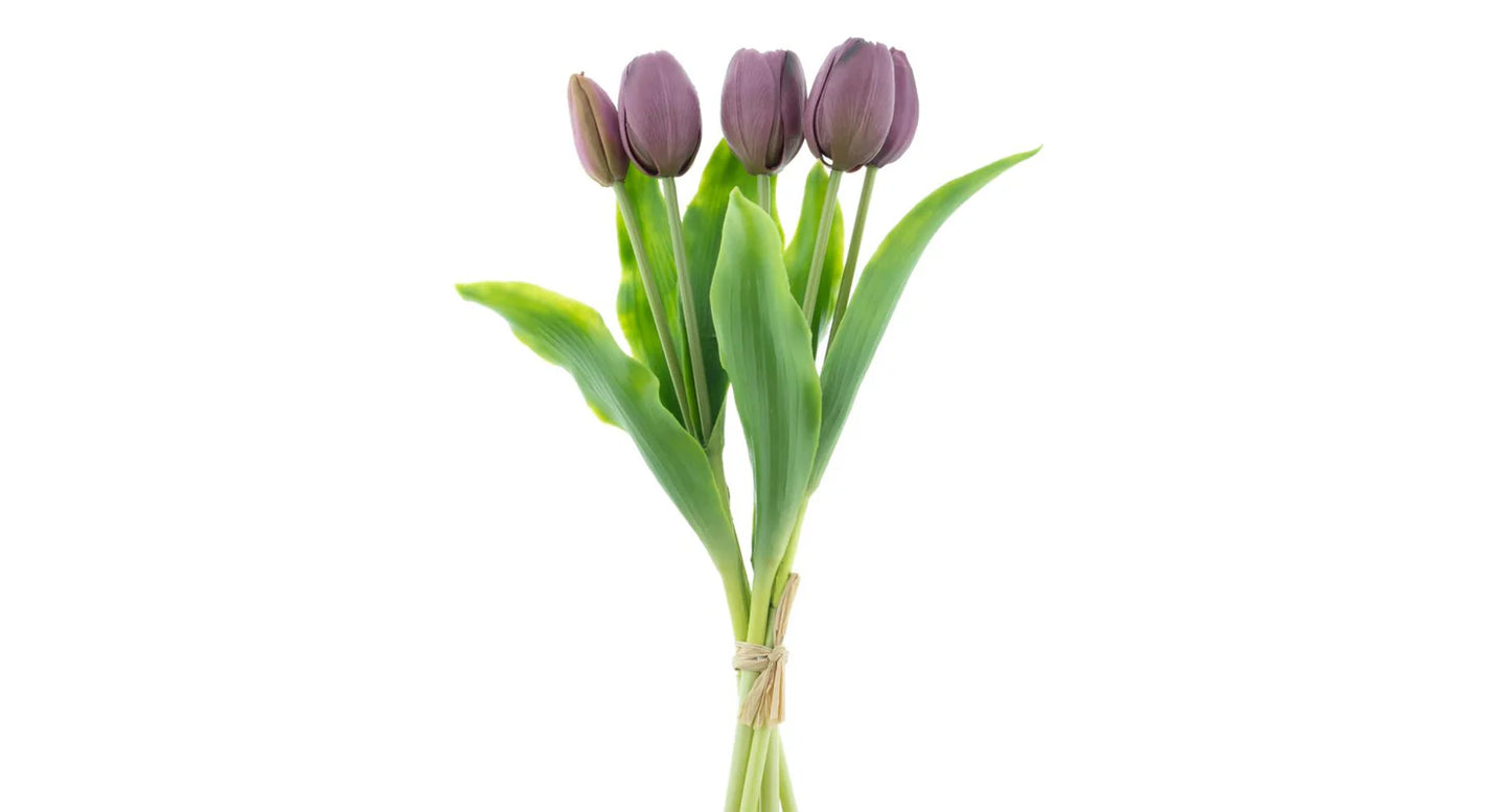 Real Touch Holland Tulip bundle Sally X5 aubergine 36cm