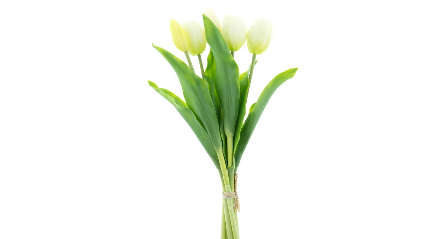 Real Touch Holland Tulip bundle Sally X5 cream 36cm