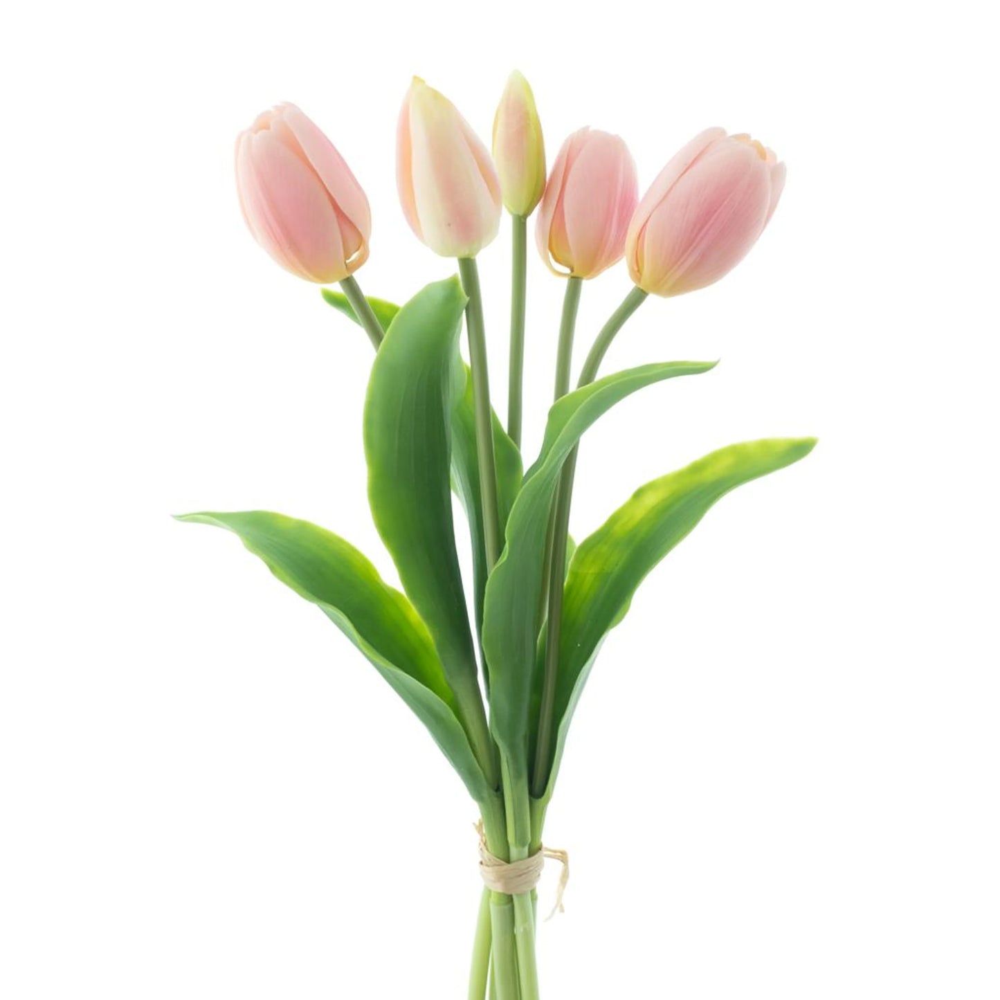 Real Touch Holland Tulip bundle Sally X5 pink 36cm