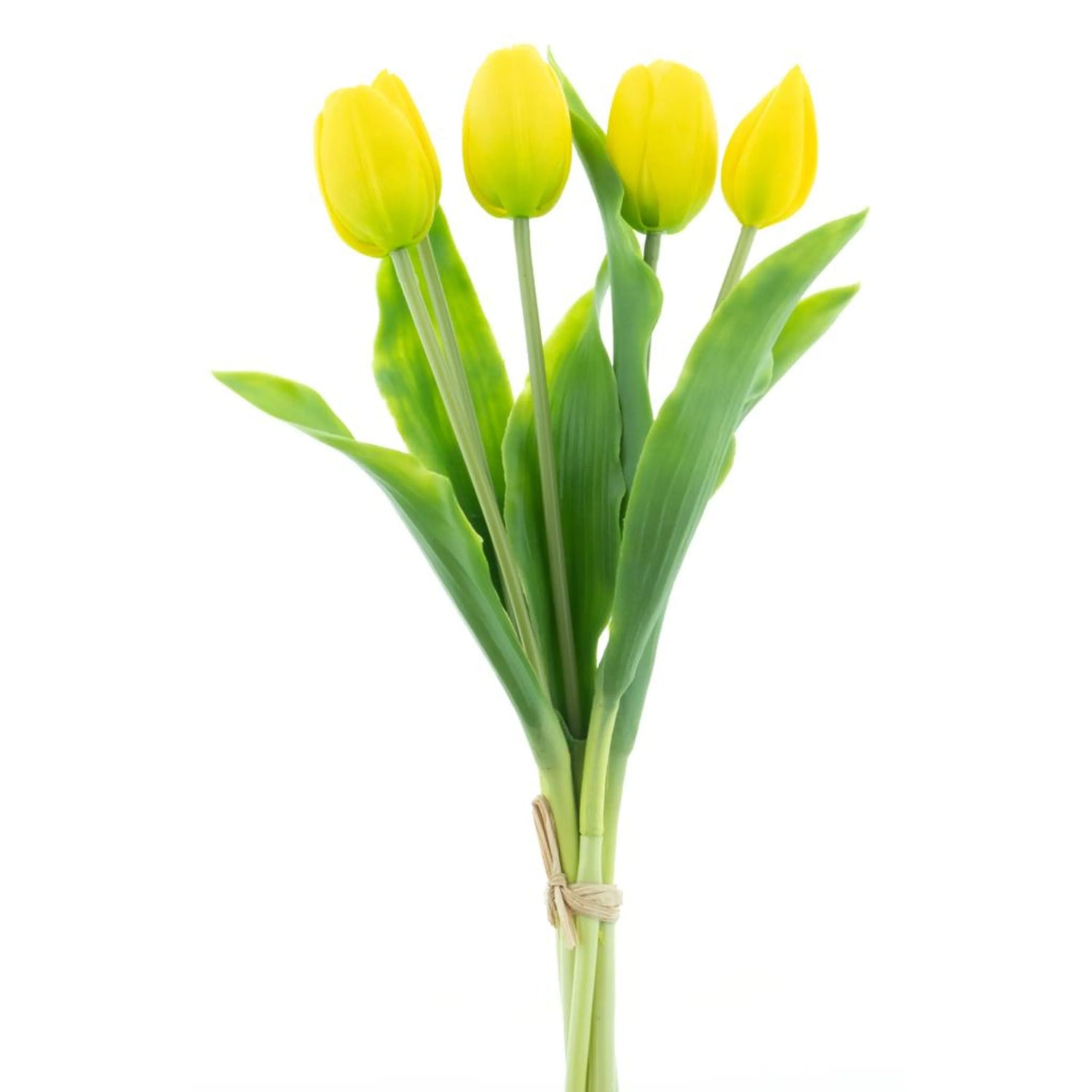 Kunst tulpen