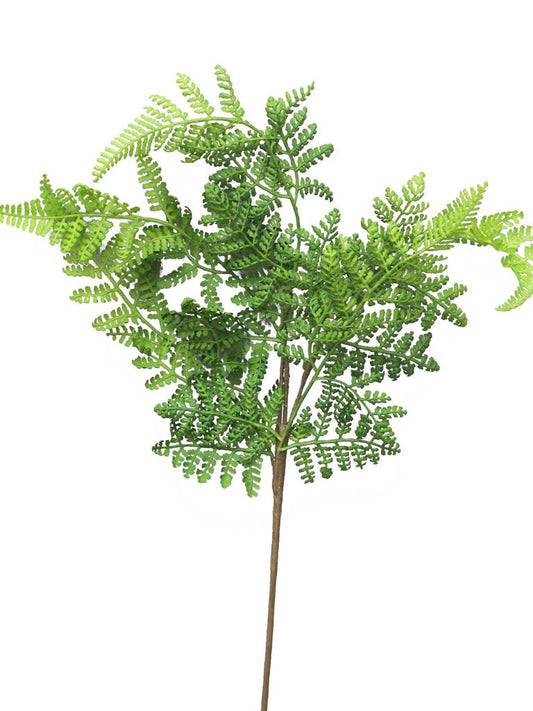 Kunsttak Athyrium Spray – Groen, 57 cm