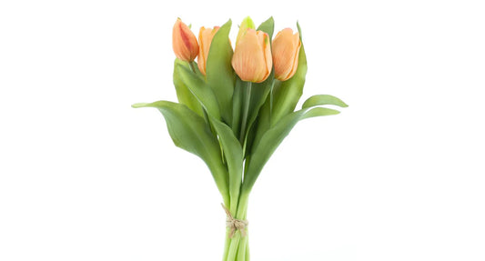 Real Touch Vermeer tulip bundle Sally X7 peach 31cm